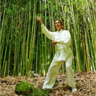 Tai Chi-Tango - France Chervoillot